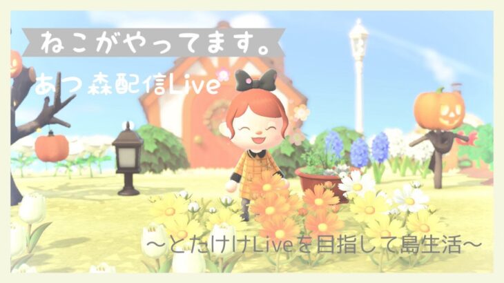 【♯あつ森】｜朝活配信｜新住民をお迎えします！｜【初心者配信】