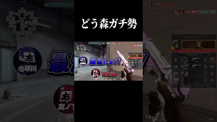 どうぶつの森ガチ勢#valorant #ヴァロラント #valorantclips #あつ森