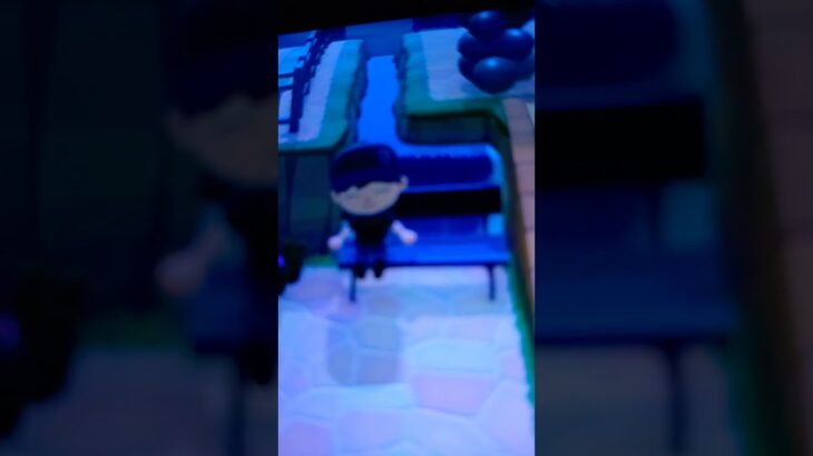 #三毛猫 呼んでも全然来ないくせにあつ森ver