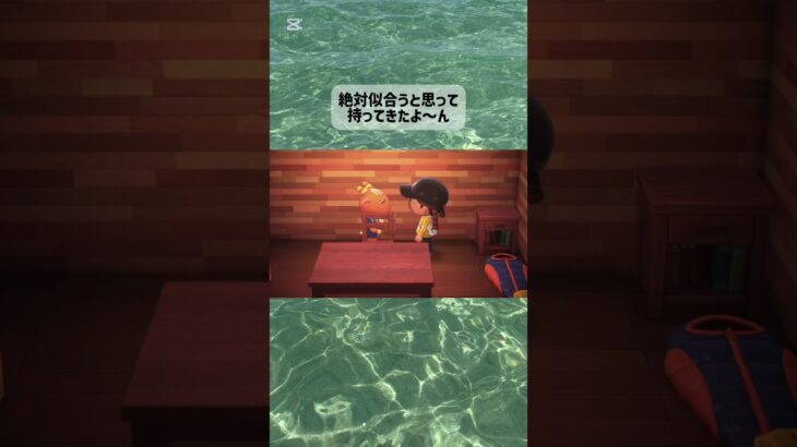 #あつ森 #あつまれどうぶつの森 #あつ森vlog #あつ森初心者