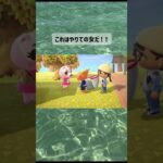 #あつ森 #あつまれどうぶつの森 #あつ森vlog