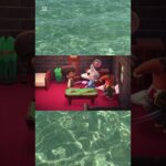 #あつ森 #あつ森vlog #ゲーム実況 #あつまれどうぶつの森