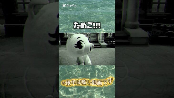 #あつ森 #あつ森vlog #ゲーム実況 #あつまれどうぶつの森 #ゲーム