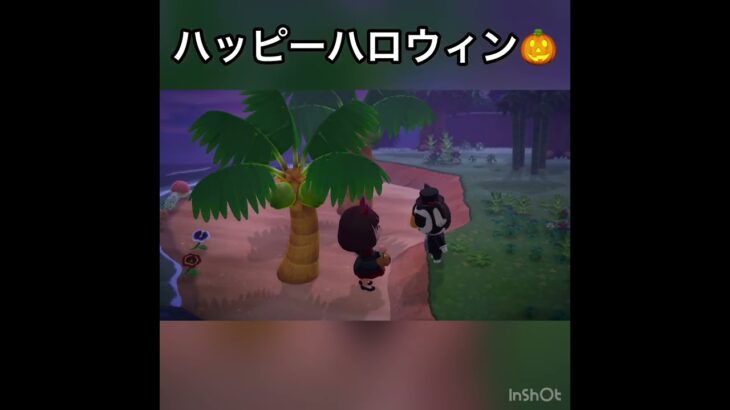 ハッピーハロウィン🎃 #vlog #あつ森 #あつまれどうぶつの森 #こはくちゃんねる2424 #animalcrossing #asmr #acnh #shorts