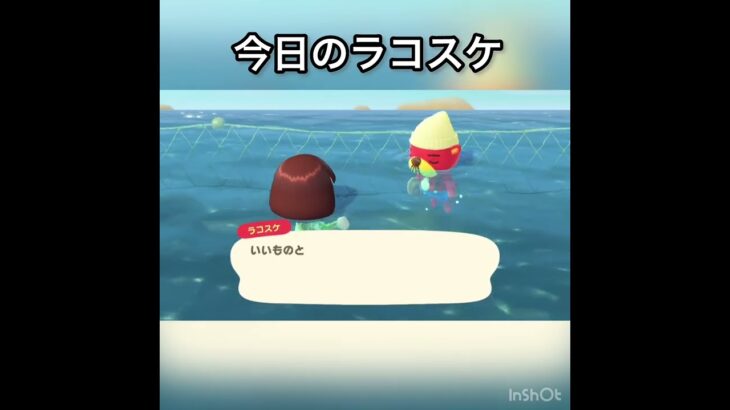 ラコスケの言葉　#vlog #あつ森 #あつまれどうぶつの森 #こはくちゃんねる2424 #animalcrossing #asmr #acnh #shorts