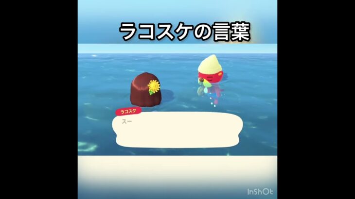 ラコスケの言葉　#vlog #あつ森 #あつまれどうぶつの森 #こはくちゃんねる2424 #animalcrossing #asmr #acnh #shorts