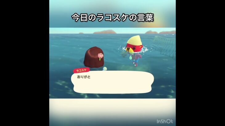ラコスケの言葉　#vlog #あつ森 #あつまれどうぶつの森 #こはくちゃんねる2424 #animalcrossing #asmr #acnh #shorts