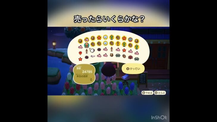 お金を稼ぐ💰　#vlog #あつ森 #あつまれどうぶつの森 #こはくちゃんねる2424 #animalcrossing #asmr #acnh #shorts