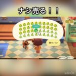 ナシ売ってお金を稼ぐ　#vlog #あつ森 #あつまれどうぶつの森 #こはくちゃんねる2424 #animalcrossing #asmr #acnh #shorts