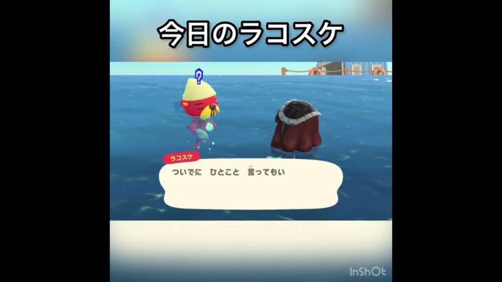 ラコスケ　#vlog #あつ森 #あつまれどうぶつの森 #こはくちゃんねる2424 #animalcrossing #asmr #acnh #shorts
