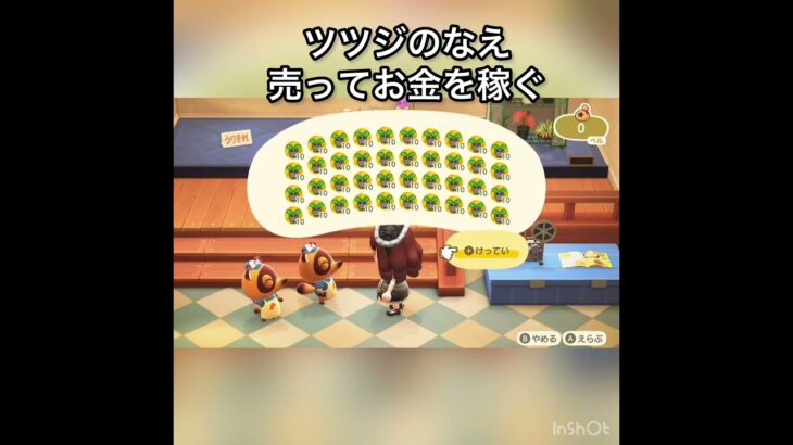 ツツジのなえ売ってお金を稼ぐ　#vlog #あつ森 #あつまれどうぶつの森 #こはくちゃんねる2424 #animalcrossing #asmr #acnh #shorts