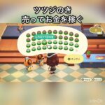 ツツジのこ売ってお金を稼ぐ　#vlog #あつ森 #あつまれどうぶつの森 #こはくちゃんねる2424 #animalcrossing #asmr #acnh #shorts