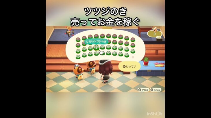 ツツジのこ売ってお金を稼ぐ　#vlog #あつ森 #あつまれどうぶつの森 #こはくちゃんねる2424 #animalcrossing #asmr #acnh #shorts