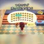 つきのラグ売ってお金を稼ぐ　#vlog #あつ森 #あつまれどうぶつの森 #こはくちゃんねる2424 #animalcrossing #asmr #acnh #shorts