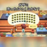 売ってお金を稼ぐ　#vlog #あつ森 #あつまれどうぶつの森 #こはくちゃんねる2424 #animalcrossing #asmr #acnh #shorts