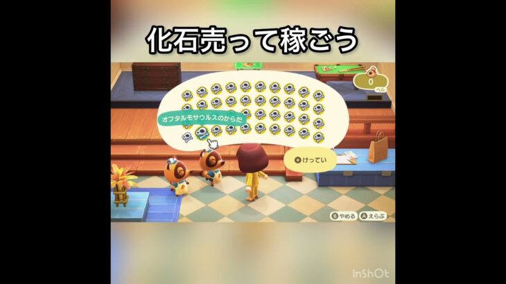 化石売ってお金を稼ぐ　#vlog #あつ森 #あつまれどうぶつの森 #こはくちゃんねる2424 #animalcrossing #asmr #acnh #shorts