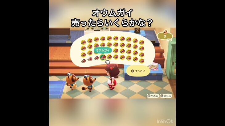 売ってお金を稼ぐ　#vlog #あつ森 #あつまれどうぶつの森 #こはくちゃんねる2424 #animalcrossing #asmr #acnh #shorts