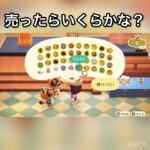 【あつ森】毎日出来るベル稼ぐ方法　海に潜る　#vlog #あつ森 #あつまれどうぶつの森 #こはくちゃんねる2424 #animalcrossing #asmr #acnh #shorts