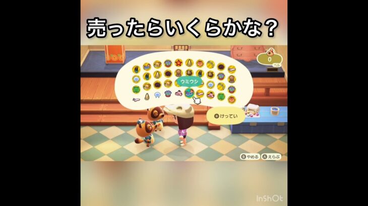 【あつ森】毎日出来るベル稼ぐ方法　海に潜る　#vlog #あつ森 #あつまれどうぶつの森 #こはくちゃんねる2424 #animalcrossing #asmr #acnh #shorts