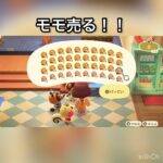 【あつ森】　モモ売ってベル稼ぐ　#vlog #あつ森 #あつまれどうぶつの森 #こはくちゃんねる2424 #animalcrossing #asmr #acnh #shorts
