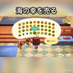 【あつ森】毎日出来るベル稼ぐ方法　海に潜る　#vlog #あつ森 #あつまれどうぶつの森 #こはくちゃんねる2424 #animalcrossing #asmr #acnh #shorts