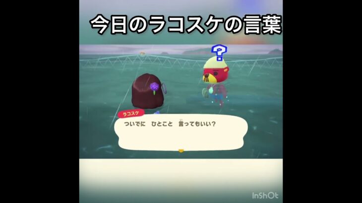 ラコスケ　#vlog #あつ森 #あつまれどうぶつの森 #こはくちゃんねる2424 #animalcrossing #asmr #acnh #shorts