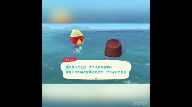 ラコスケ　#vlog #あつ森 #あつまれどうぶつの森 #こはくちゃんねる2424 #animalcrossing #asmr #acnh #shorts