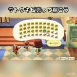 【あつ森】　サトウキビ売ってベル稼ぐ　#vlog #あつ森 #あつまれどうぶつの森 #こはくちゃんねる2424 #animalcrossing #asmr #acnh #shorts