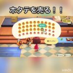 【あつ森】ホタテ売って稼ぐ　海に潜る　#vlog #あつ森 #あつまれどうぶつの森 #こはくちゃんねる2424 #animalcrossing #asmr #acnh #shorts