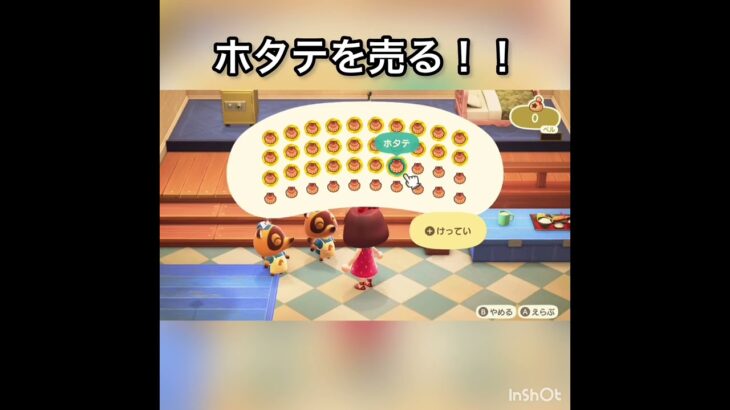 【あつ森】ホタテ売って稼ぐ　海に潜る　#vlog #あつ森 #あつまれどうぶつの森 #こはくちゃんねる2424 #animalcrossing #asmr #acnh #shorts