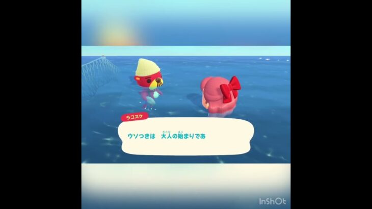 【あつ森】ラコスケに会いに海に潜る　#vlog #あつ森 #あつまれどうぶつの森 #こはくちゃんねる2424 #animalcrossing #asmr shorts  0→1 #今日　#大好き