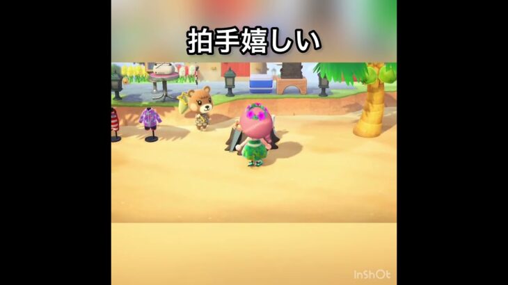 【あつ森】メープルちゃんから拍手　vlog #あつ森 #あつまれどうぶつの森 #こはくちゃんねる2424 #animalcrossing #asmr #shorts  0→1 #今日　大好き