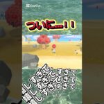 #あつ森 #あつ森vlog #ゲーム実況 #あつまれどうぶつの森 #animalcrossing