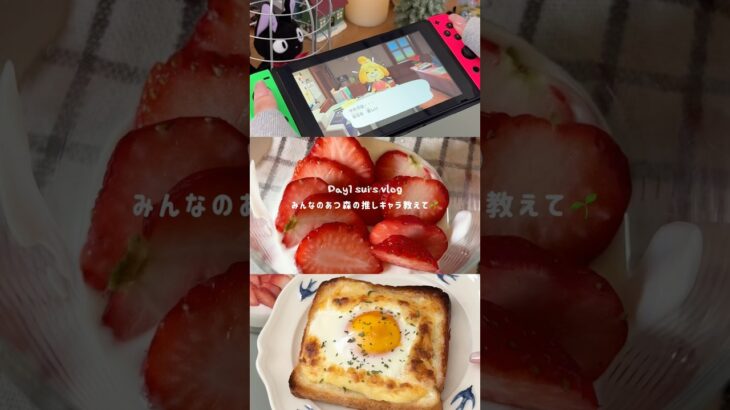 【#社会人vlog 】あつ森とごはんを楽しむ在宅社会人の休日vlog🍂🥪#vlog #社会人vlog #自炊記録