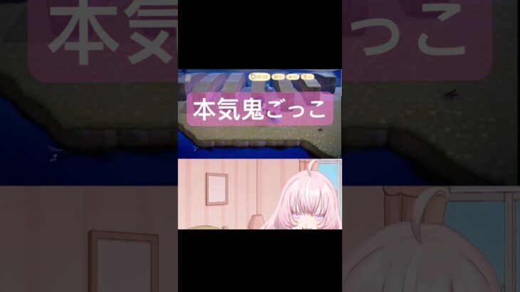 大人の本気鬼ごっこ🐇 #新人vtuber #切り抜き #ゲーム実況 #あつ森