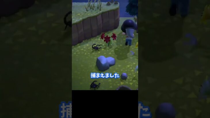 サソリの生態系と攻略？はコレ！w～前編～【あつ森】