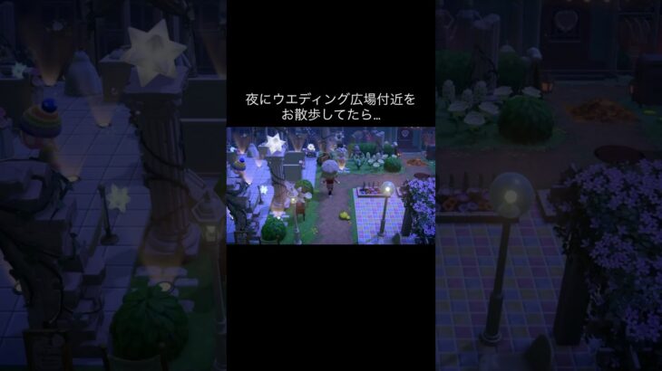 何でやねん⁉️w #あつ森 #あつまれどうぶつの森 #あつ森好きな人と繋がりたい #animalcrossing #ゆめみ #おかめなっ島 #acnh #comedy #shorts #why #なぜ