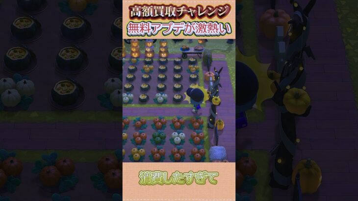 無料アプデを祝ったらスープ実ったw #あつ森 #あつまれどうぶつの森 #shorts