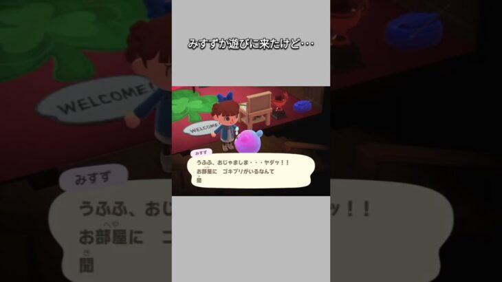 【あつ森】みすずが遊びに来たけど･･･玄関で帰っちゃった😂ww【あつまれどうぶつの森】【どうぶつの森】【ACNH】 #short