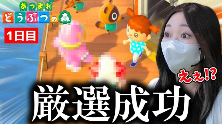 新しく始めたあつ森でものすごい引きを見せるあまみwww