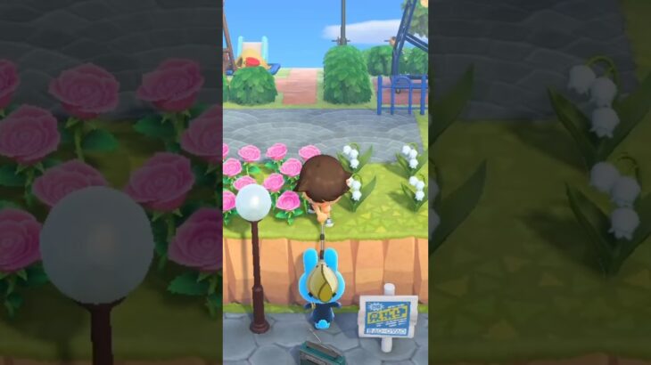 【あつ森】プースケを網で叩きまくってみたwww #shorts #あつ森