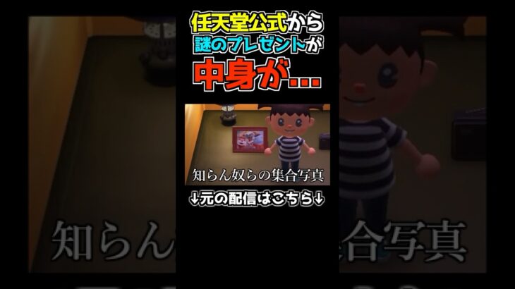 【あつ森】任天堂から謎の集合写真を貰ったwwwwww#あつまれどうぶつの森 #あつ森 #ゲーム実況 #shortsvideo #shorts