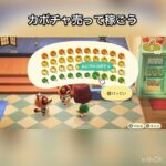 【あつ森】1日一万ベル稼ぐ　#vlog #あつまれどうぶつの森 #こはくちゃんねる2424 #animalcrossing #asmr #shorts  0→1 #今日　大好き