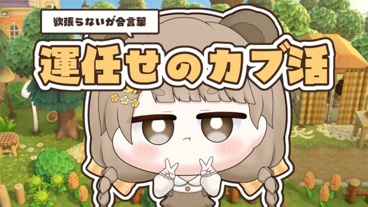 【 あつ森 】 アプデに備えて100万ベルを運に任せるカブ活 💰【 #ぷにLIVE 】