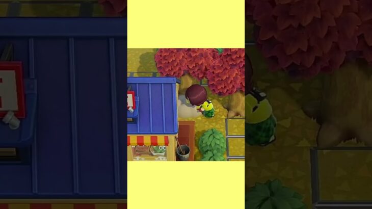 【あつ森】10×10のタヌキ商店を“自然で可愛く”レイアウトしました