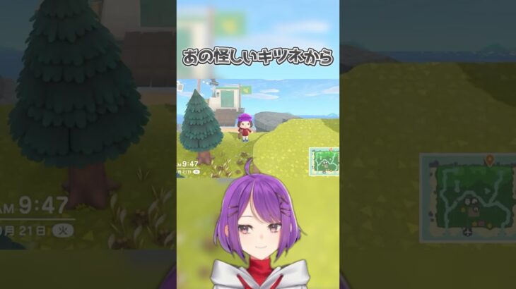 【あつ森】正しい絵画を選べ！怪しい商売人…ツネキチ現る！厳選なし！で住民の写真立て10個狙う！！【企画】【ゆにチャレ】#shorts #あつ森