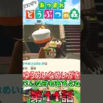 【あつ森】　出遅れ借金あつ森生活第11話『こんな日もあるよね』