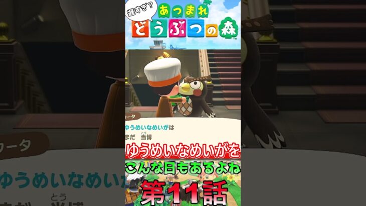 【あつ森】　出遅れ借金あつ森生活第11話『こんな日もあるよね』