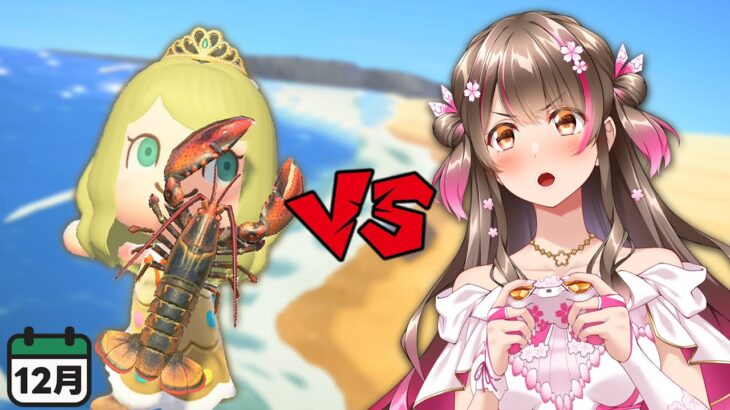 【あつ森】レアが大量！12月に出現する全ての海の幸をコンプしつつ、ベルを沢山稼ぎたい 【あつまれどうぶつの森ライブ】