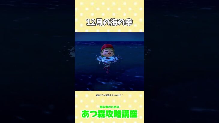 12月の海の幸 #あつ森  #あつ森攻略講座  #あつ森海の幸  #あつ森コンプ